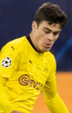profil-lengkap-pemain-bola-giovanni-reyna