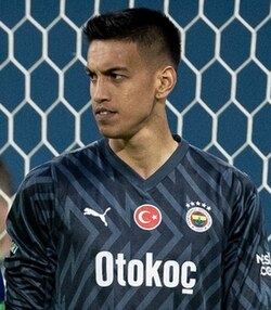 profil-lengkap-pemain-terbaik-irfan-can-egribayat