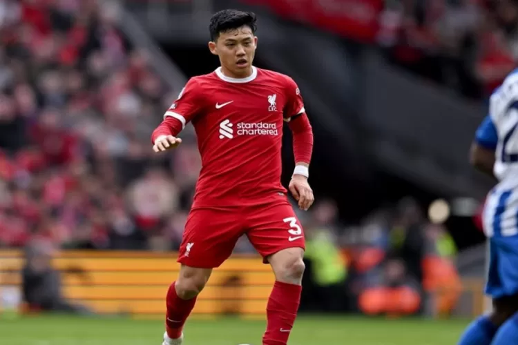 profil-pemain-bola-wataru-endo-karier-dan-peran-di-dunia-sepak-bola